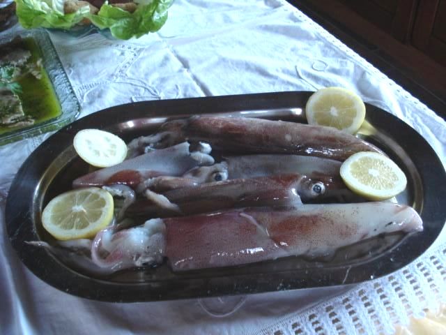 Calamari grigliati